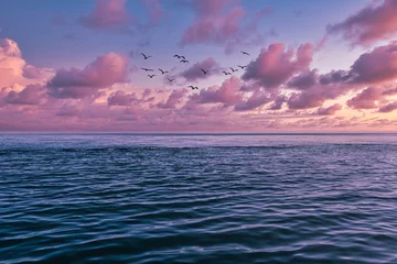 Foto auf Glas sunset over the sea © pilotrs