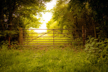 Shallow focus of a locked farm gate seen at the entrance to a farm meadow, seen within a dark wooded area. Seen with fine clarity giving an Erie feel.