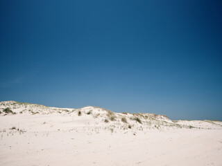 The tall and protective sand dunes separating the Atlantic Ocean from the waters of Barnegat Bay on Island Beach State Park in New Jersey