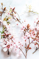 Pink flowers on marble background.