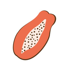 Papaya. Tropical fruit with edible seeds. Vegetarian organic food. Vector illustration in cartoon style. Isolated white background.