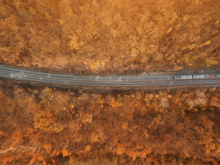 Aerial view of train locomotive transporting cargo or passengers along the railway in yellow autumn forest