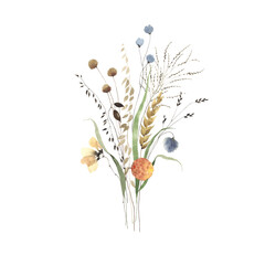 Bouquet with delicate abstract wildflowers, grasses and plants, watercolor isolated decor on white background for invitation or greeting cards, decorative symbol nature, fields and meadows. - 506258844