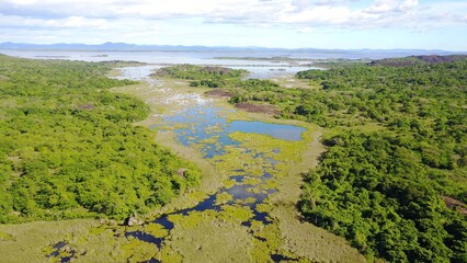 river in the jungle