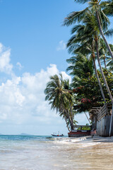 Obraz na płótnie Canvas Tropical beach. Beautiful sandy beach with palm trees. Summer holidays and tourism