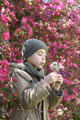 June 1 is Children's Day. Happy little boy with dandelions and flowering apple tree in spring...