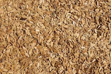 Wood chips texture. Wooden background