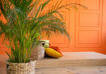 orange interior with cushions and green palm tree