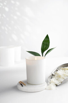 Soy wax candle in a white ceramic jar, and green leaf, plant on a white background. natural eco friendly organic wax candles. Trendy concept. minimalist. isometric projection. copy space.