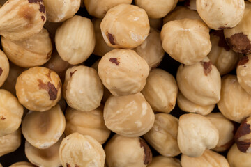 Hazel nuts close up