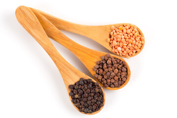 lentils in spoon isolated