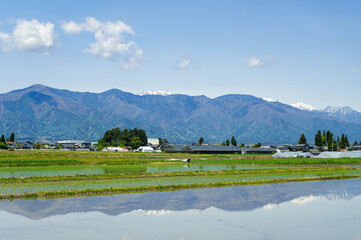 田植え頃の田園風景　