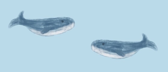 Cute beautiful whales. Easy illustration with whales. Cute background and template with whales