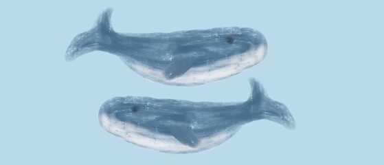 Cute beautiful whales. Easy illustration with whales. Cute background and template with whales