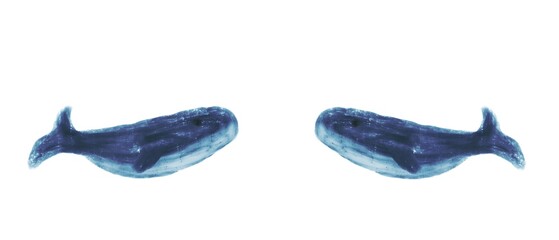 Cute beautiful whales. Easy illustration with whales. Cute background and template with whales