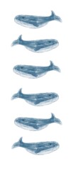Cute beautiful whales. Easy illustration with whales. Cute background and template with whales