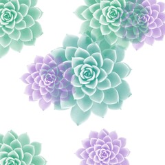Beautiful succulents. Beautiful flowers and backgrounds. Backgrounds for business with plants. Beautiful template for presentations.