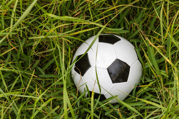 Soccer Ball lost in high grass