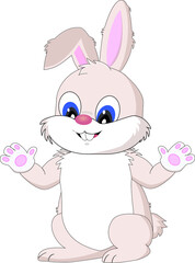 Cute, chubby and fluffy little bunny isolated on white background