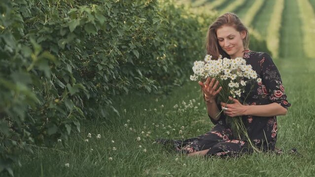 Happy young woman with flowing lush hair sitting in a field and sniffing a bouquet of wild daisies. Woman dressed in a light summer dress with flowers, on a background of green fields.