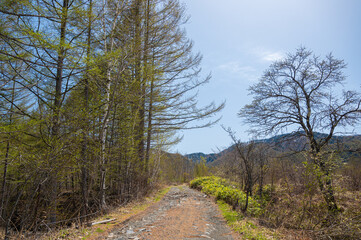 春の乗鞍高原　MTBロード