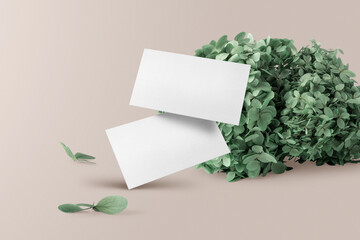 Clean minimal business card mockup floating on the floor with plants and leaves