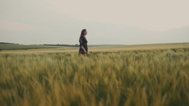 Young slender woman with flowing hair in a summer dress with flowers walks on a wheat field.