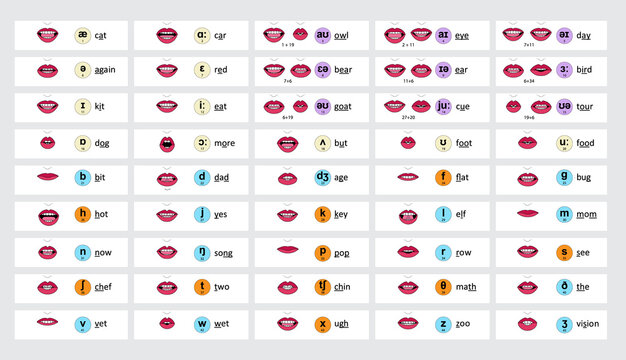 45 Phonetic viseme mouth shapes 2d animation lip sync English - Vector