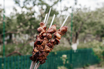 hot kebab strung on skewers