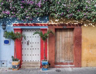 Beautiful houses of multiple colors with climbing plants that cover the facades in the historic center of a city in Colombia
