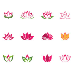 Beauty Vector lotus flowers design logo Template icon