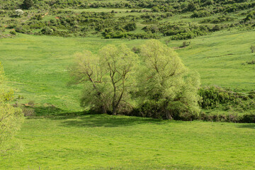 Valle de Motorrita en Gúdar