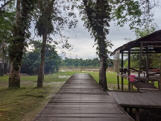 Fototapeta premium bridge in the park