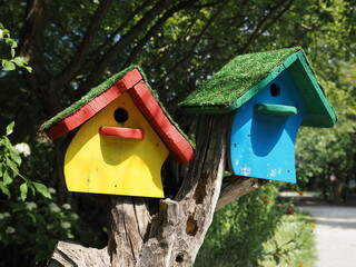 Pole with hanging colorful wooden birdhouses.