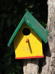 Pole with yellow and green wooden birdhouse.