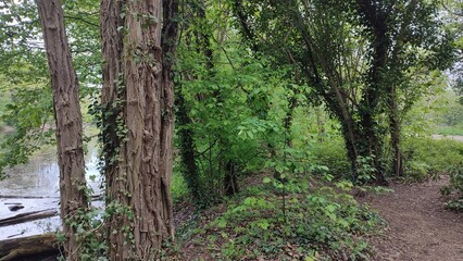 altrheinarme karlsruhe rhein natur