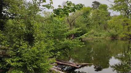 altrheinarme karlsruhe rhein natur