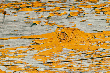 Texture wooden closeup. Natural wood texture.The board