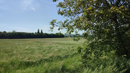 felder und weiden deutschland im sommer landwirtschaft