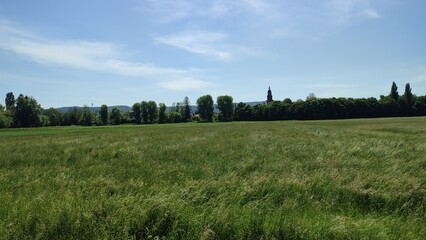 felder und weiden deutschland im sommer landwirtschaft