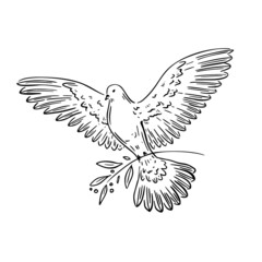 Beautiful sketch with dove of peace. Vintage whitebbackground. Hand drawn nature black pigeon icon. Line art banner. National symbol.