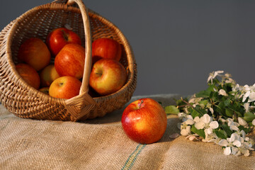 basket of red apples on burlap