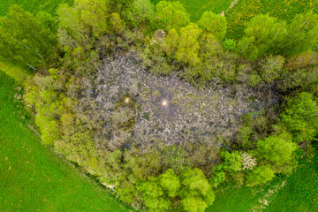 Wiejski krajobraz, widok z drona. Zielone pola na północy Polski. Suwalszczyzna wiosną. - obrazy, fototapety, plakaty