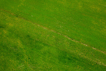 Wiejski krajobraz, widok z drona. Zielone pola na północy Polski. Suwalszczyzna wiosną.