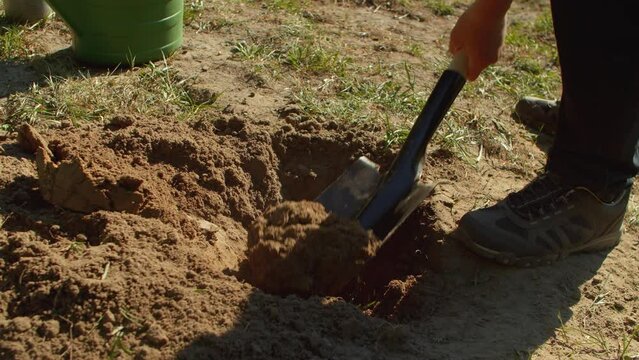 Close-up of a man digging a hole with a shovel for planting a tree in the park.