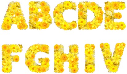 font with yellow flowers
