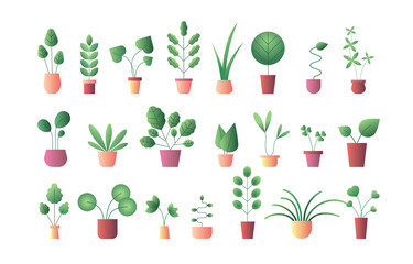 Set with potted plants set microgreen on white background for decorative design. Vector illustration drawing Isolated.