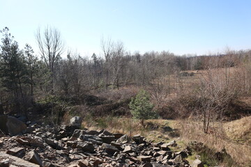 quarry in the forest