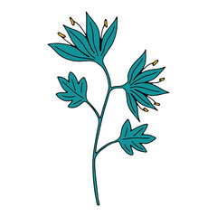 Vector doodle hand drawn flowers and herbal design elements. Line art leaves and floral objects.