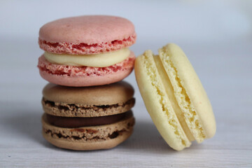 colorful macarons isolated on grey selective focus